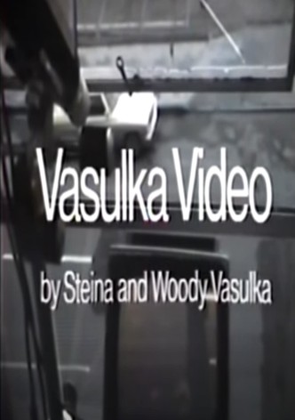 Vasulka Video