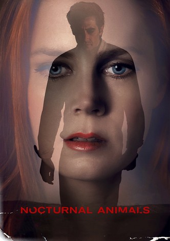 Nocturnal Animals poster - 0 subtitles available