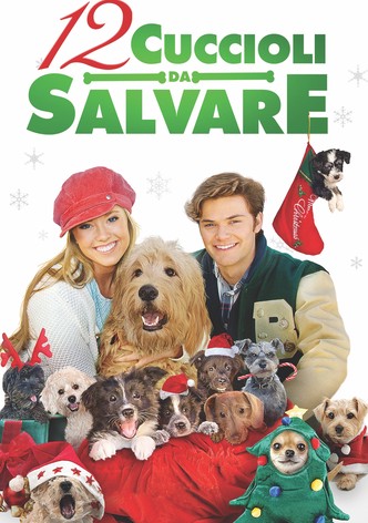 12 cuccioli da salvare