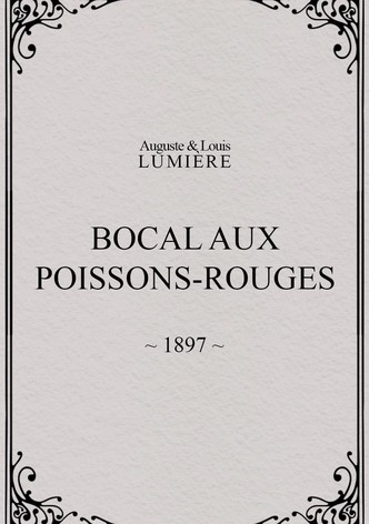 Bocal aux poissons rouges