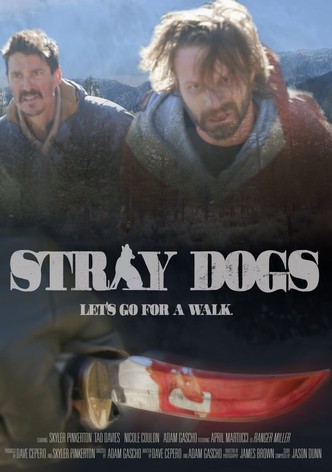 Stray Dogs