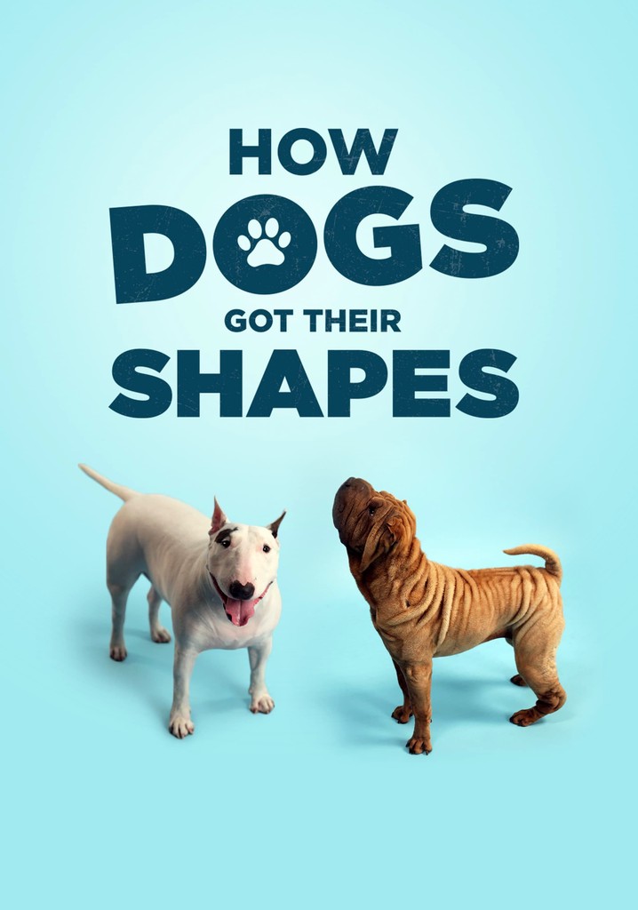 How Dogs Got Their Shapes