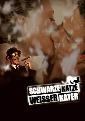 Schwarze Katze, weißer Kater