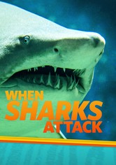 When Sharks Attack - الموسم 3