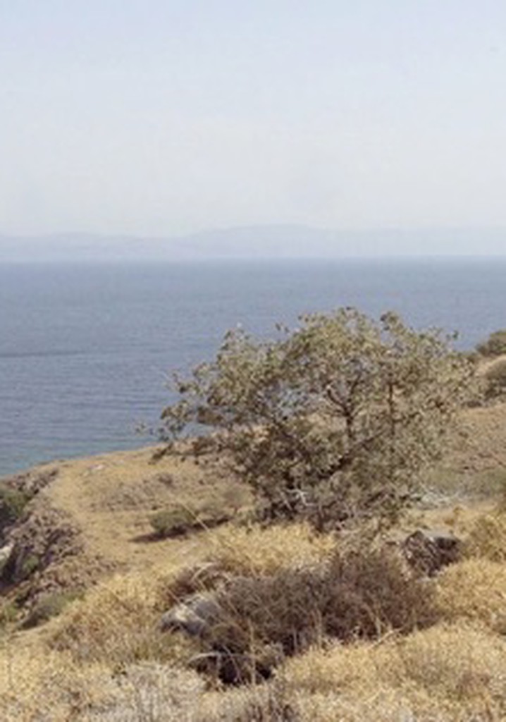 An Opera of the World