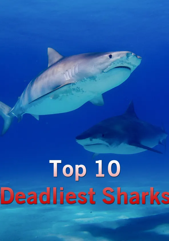 Top 10 Deadliest Sharks - streaming online