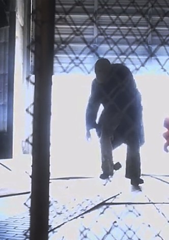 The Hunchback of Bel Air