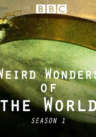 Wunder der Wissenschaft - Staffel 1