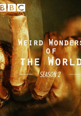 Weird Wonders of the World