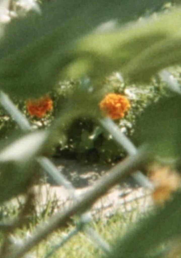 Lines to color within