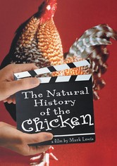 The Natural History of the Chicken