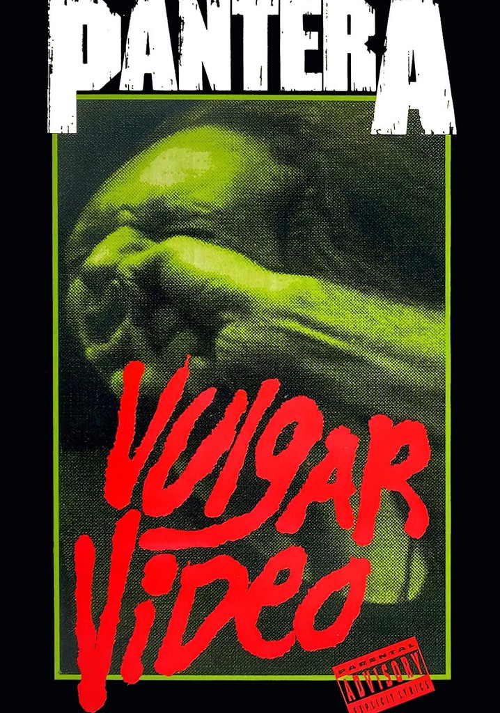 Pantera: Vulgar Video