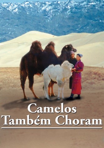 A História de um Camelo que Chora