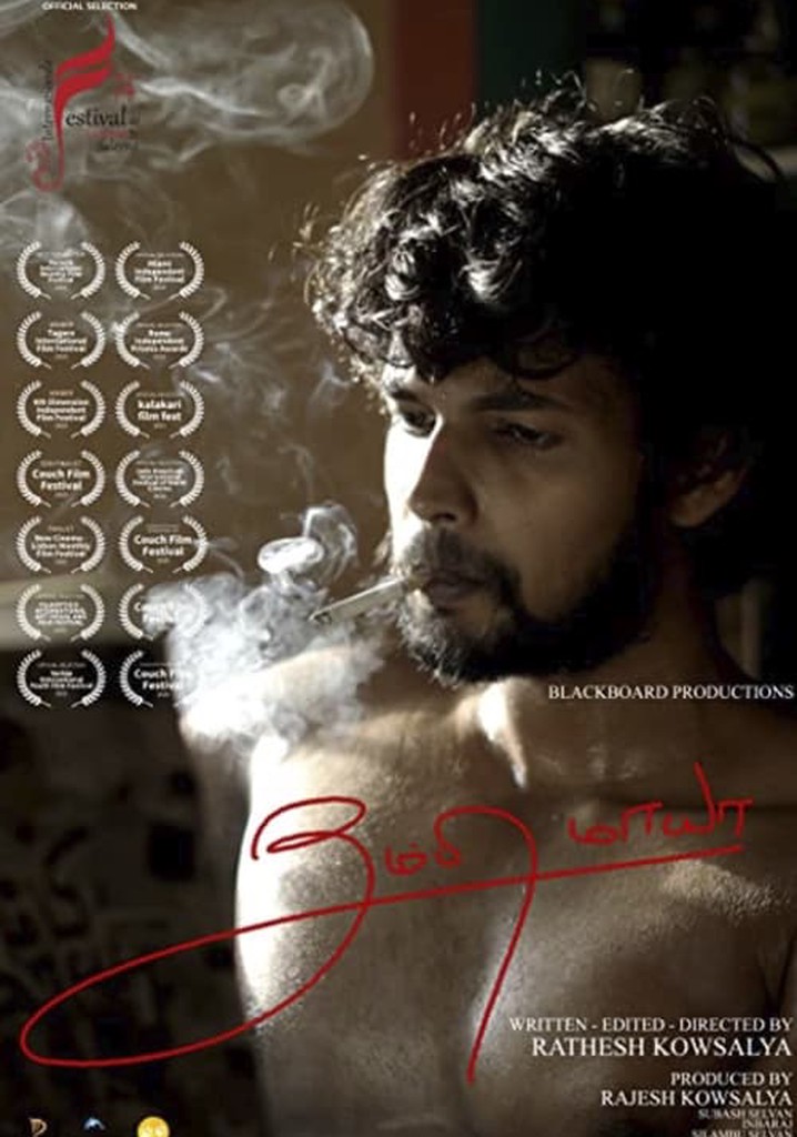 The Mirage of Dragonfly