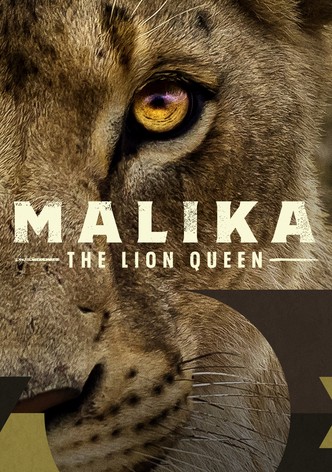 Malika the Lion Queen