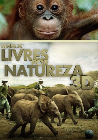 Livres por Natureza