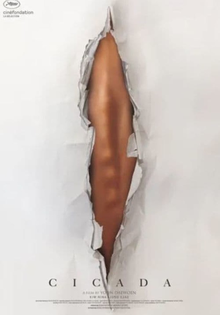 Cicada