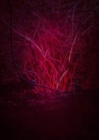 The Void