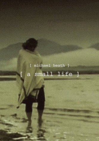 A Small Life