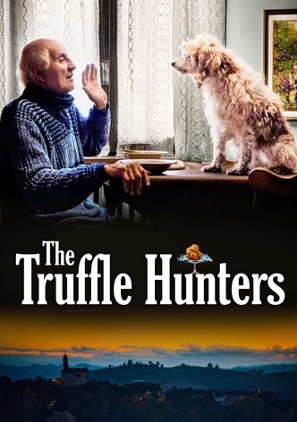 The Truffle Hunters