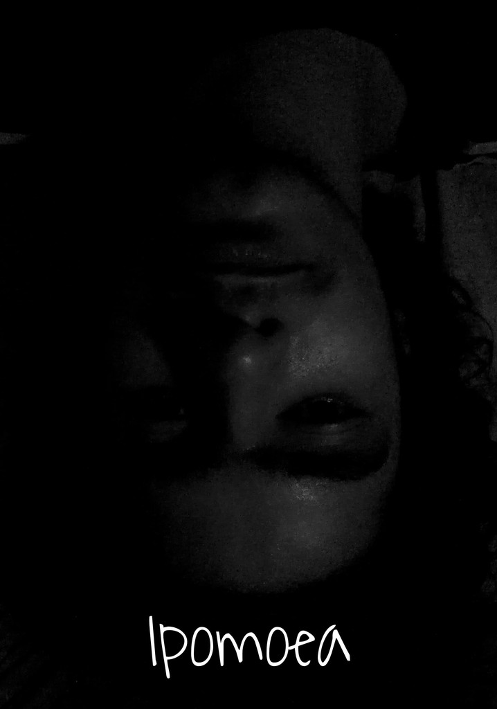 Ipomoea