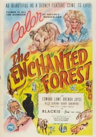 The Enchanted Forest