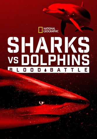 Sharks vs. Dolphins: Blood Battle