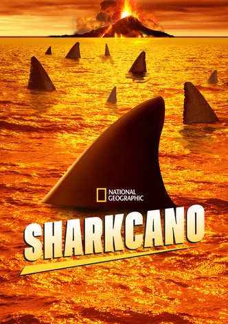 Sharkcano