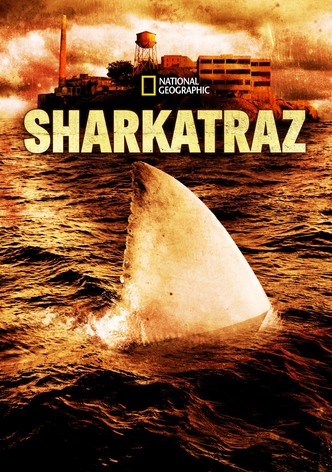 Tubarões de Alcatraz