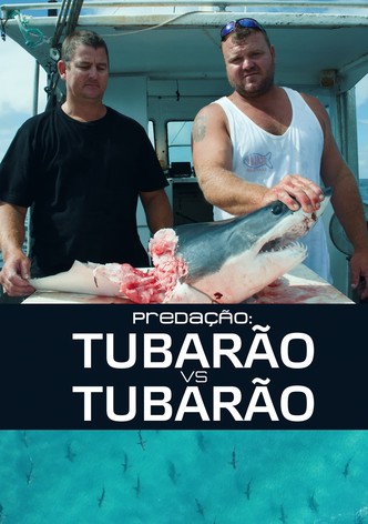 Predação: Tubarão vs. Tubarão