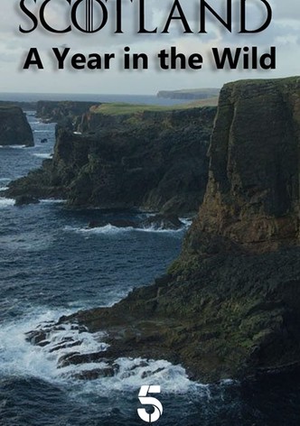 Scotland: A Year In The Wild