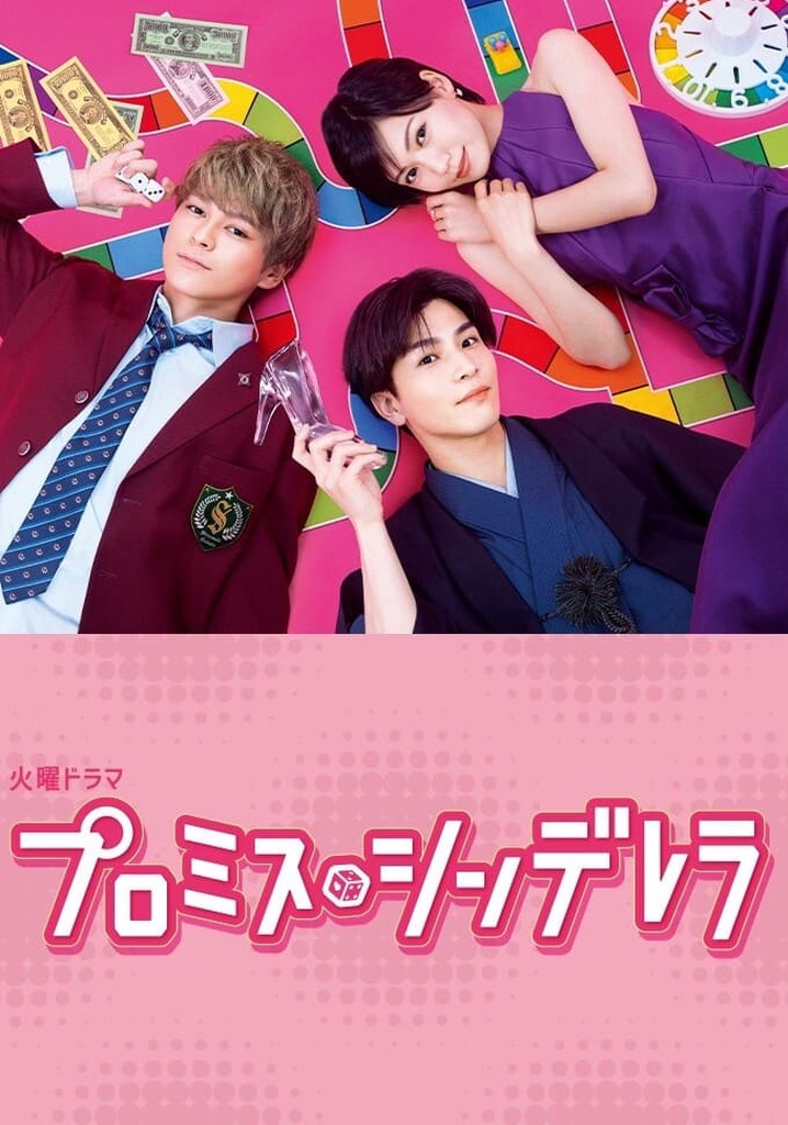 プロミス・シンデレラ TV ドラマ 動画配信 視聴