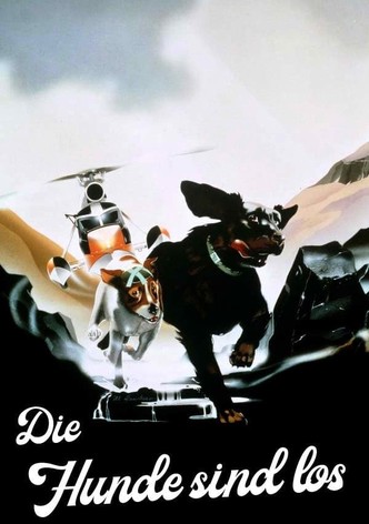 Die Hunde sind los