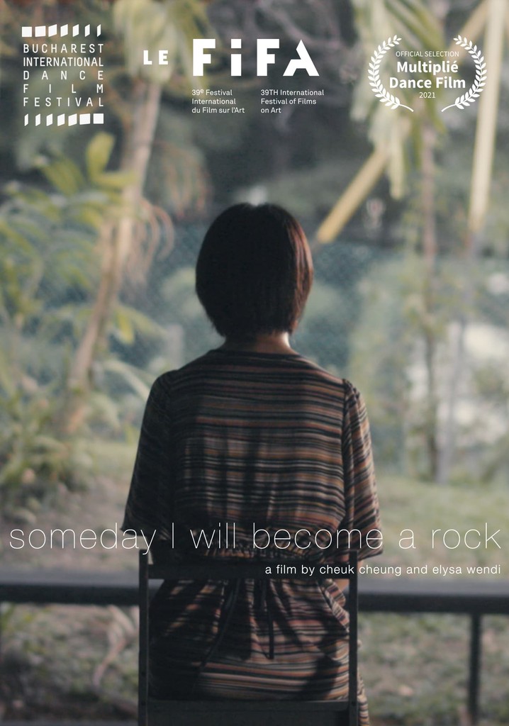 Someday I Will Become a Rock