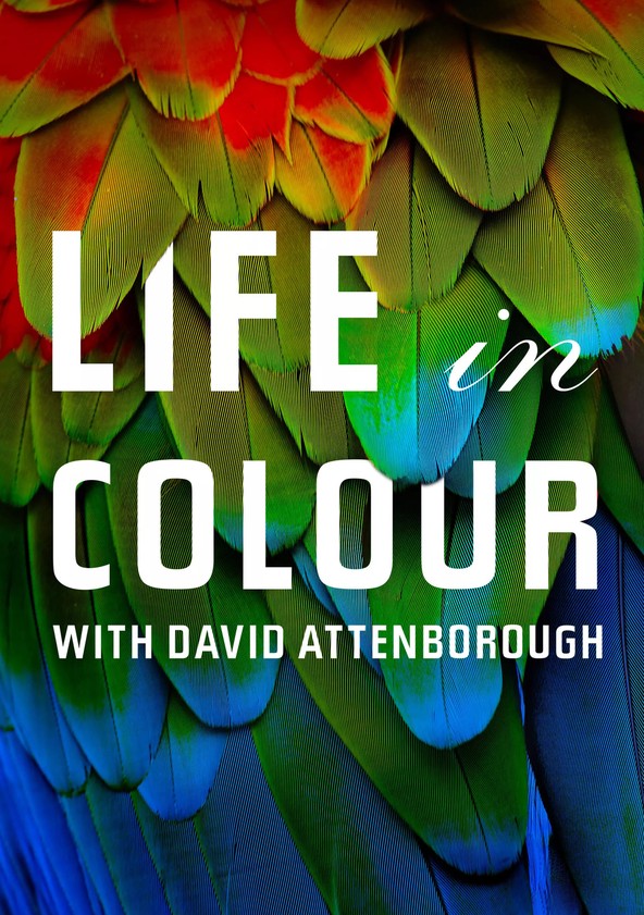 Life in Colour