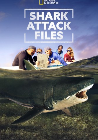 Shark Attack Files