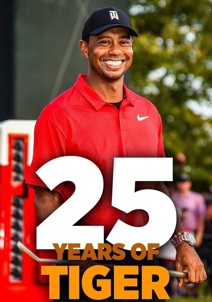 25 Years of Tiger