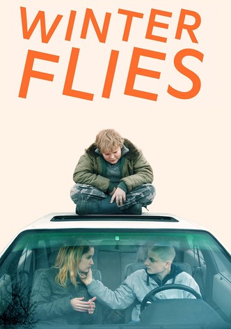Winter Flies