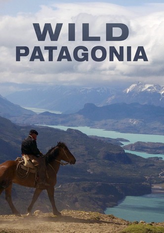 Patagonia Salvaje