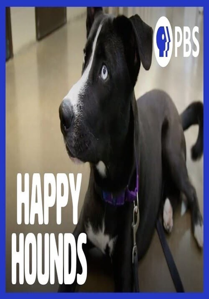 Happy Hounds
