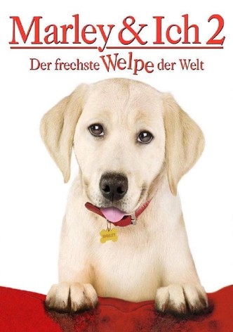 Marley & Ich 2 - Der frechste Welpe der Welt