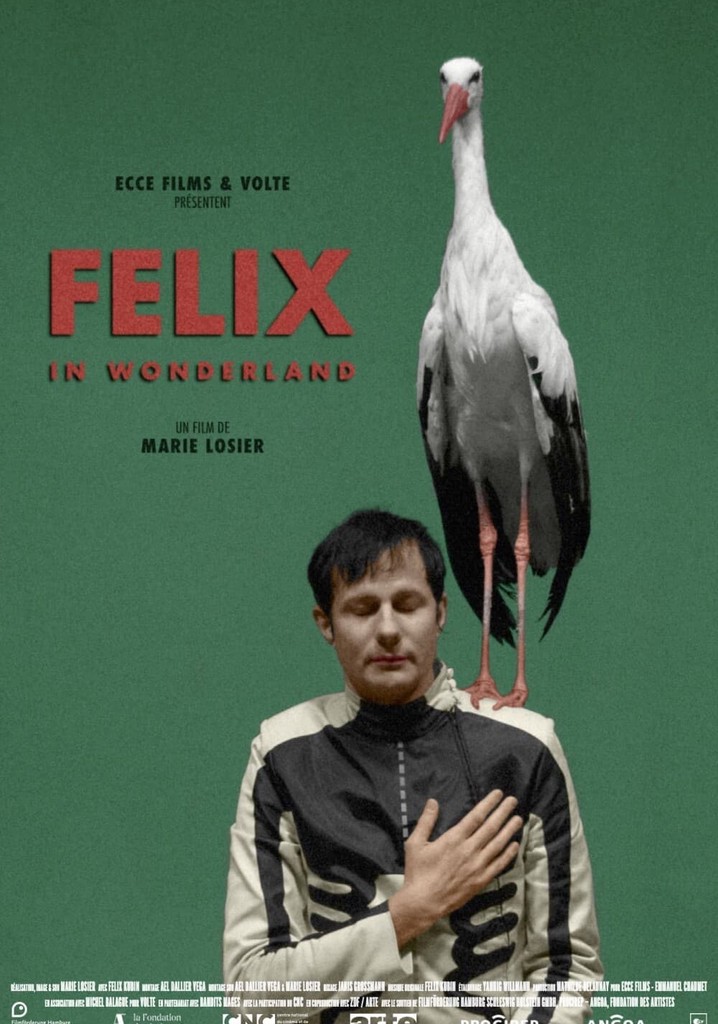 Felix in Wonderland