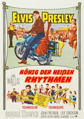 König der heißen Rhythmen