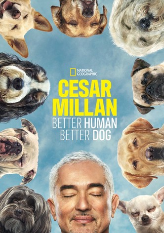 Cesar Millan: Better Human, Better Dog