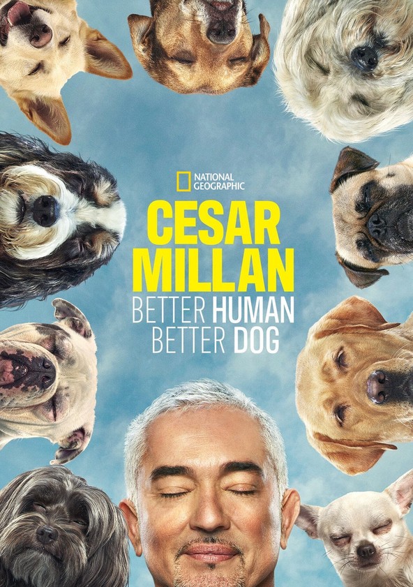 Cesar best sale millan scandal