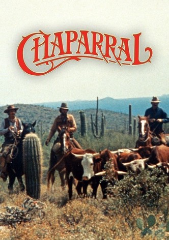 Chaparral