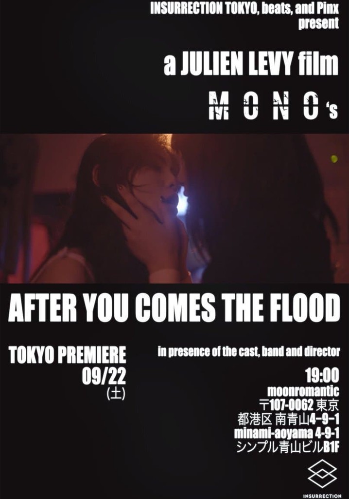 After You Comes the Flood