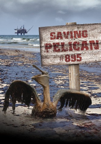 Saving Pelican 895