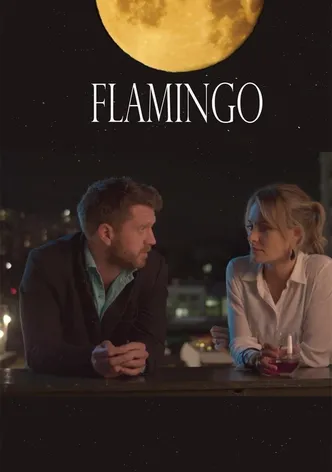 Flamingo poster