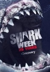 Shark Week - 2013
